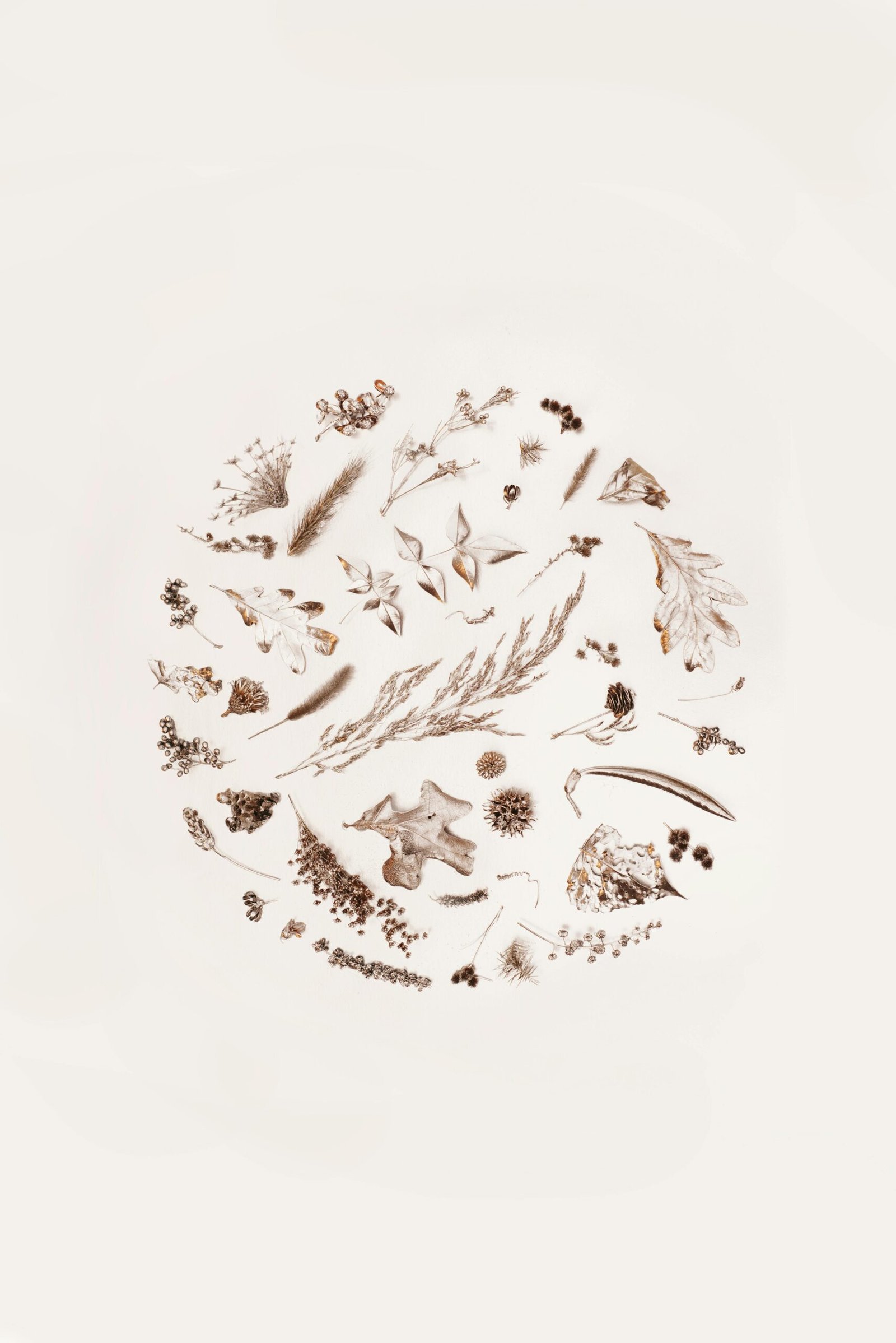 Flower, Shell and Leaf: Most Unique Bathroom Sink Styles